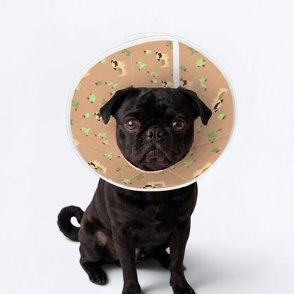 Juno  - Elizabethan Cone Collar Pug Fit
