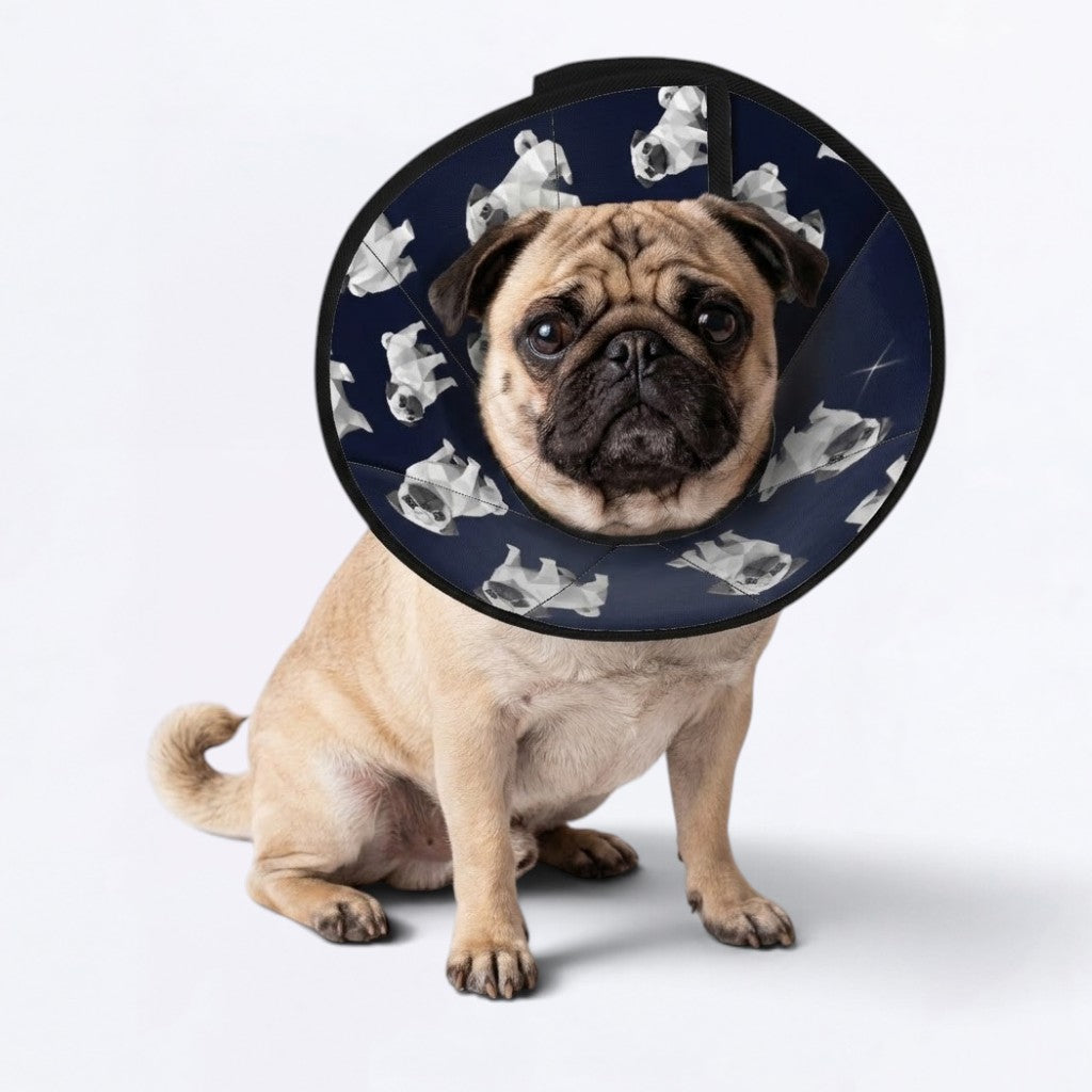 Max - Elizabethan Cone Collar Pug Fit