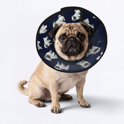 Max - Elizabethan Cone Collar Pug Fit