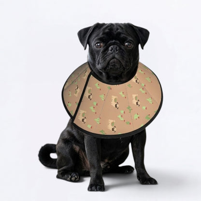 Juno  - Elizabethan Cone Collar Pug Fit