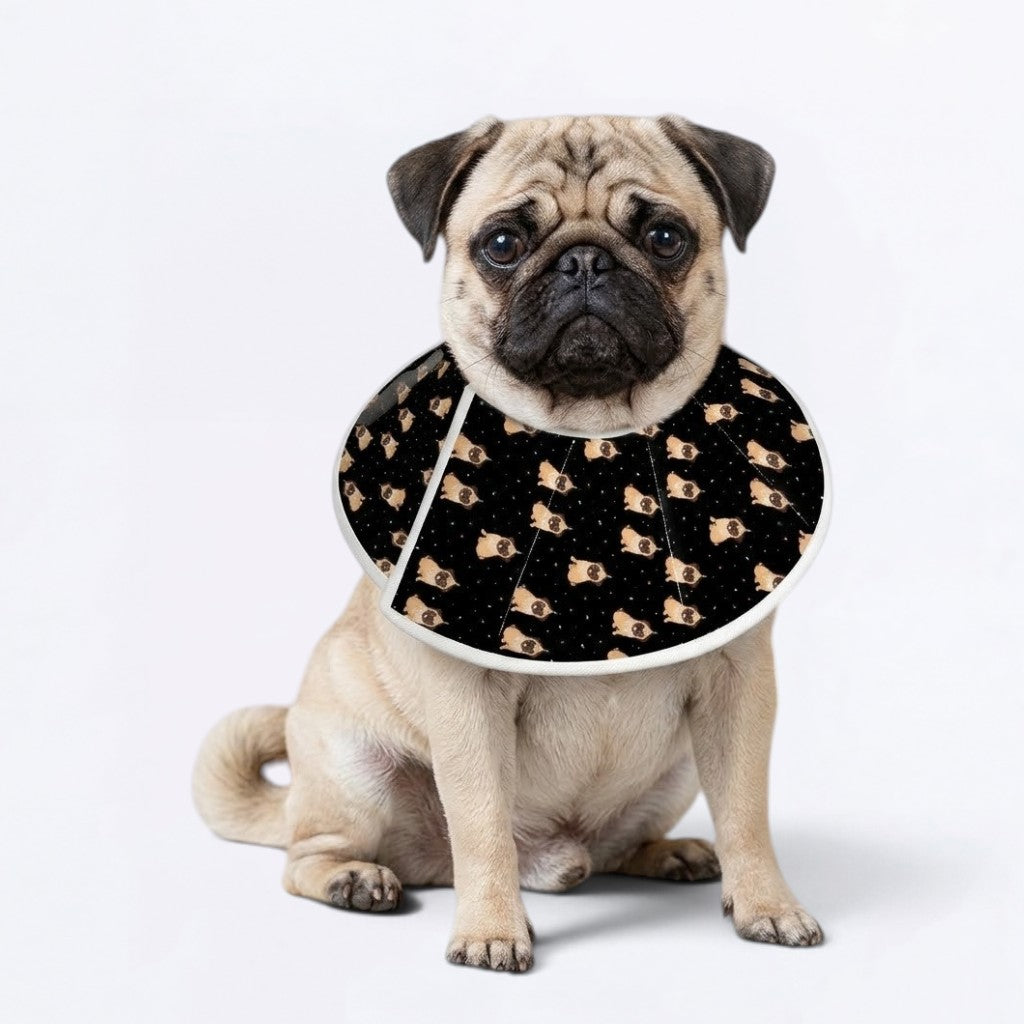 Willow - Elizabethan Cone Collar Pug Fit