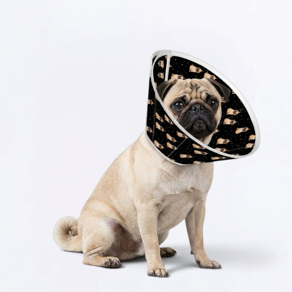 Willow - Elizabethan Cone Collar Pug Fit