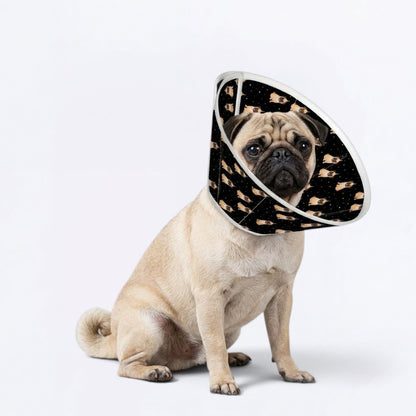 Willow - Elizabethan Cone Collar Pug Fit