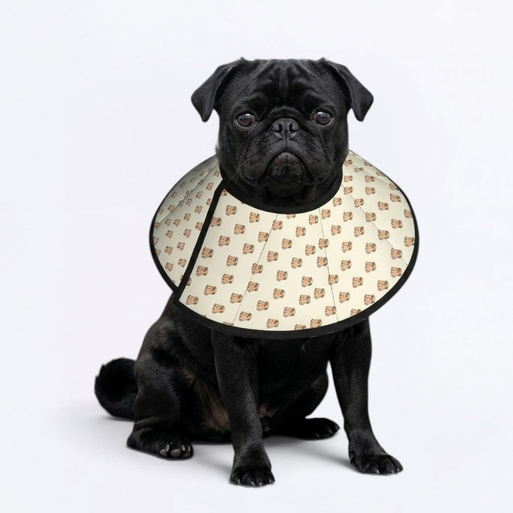 Loki - Elizabethan Cone Collar Pug Fit
