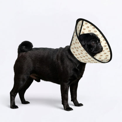Loki - Elizabethan Cone Collar Pug Fit