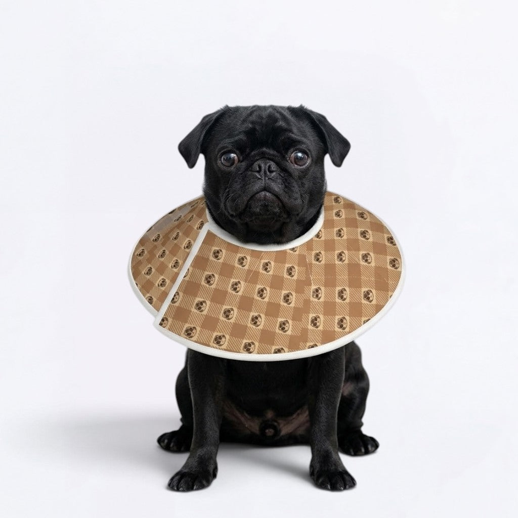 Finn - Elizabethan Cone Collar Pug Fit