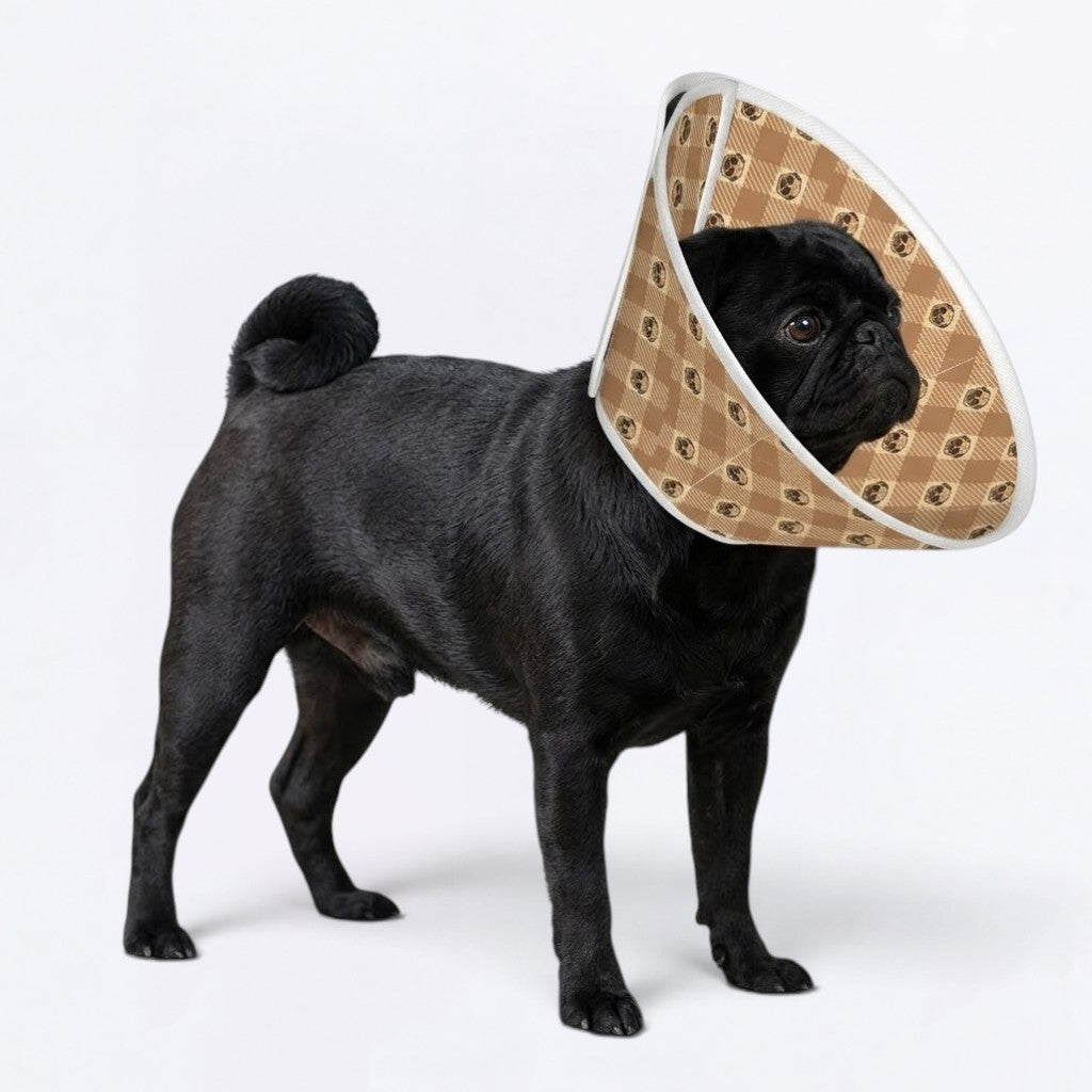 Finn - Elizabethan Cone Collar Pug Fit