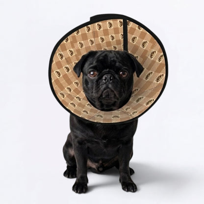 Finn - Elizabethan Cone Collar Pug Fit