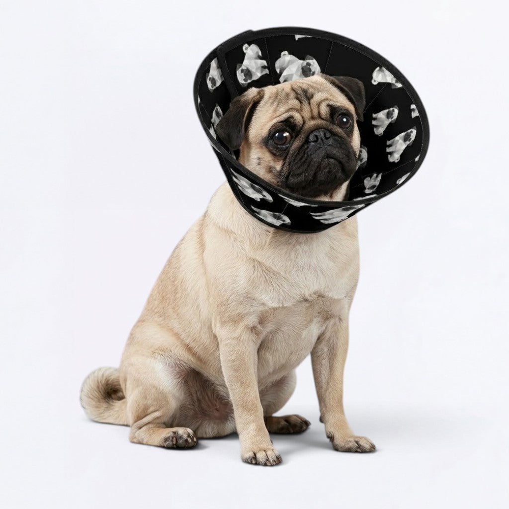 Max - Elizabethan Cone Collar Pug Fit