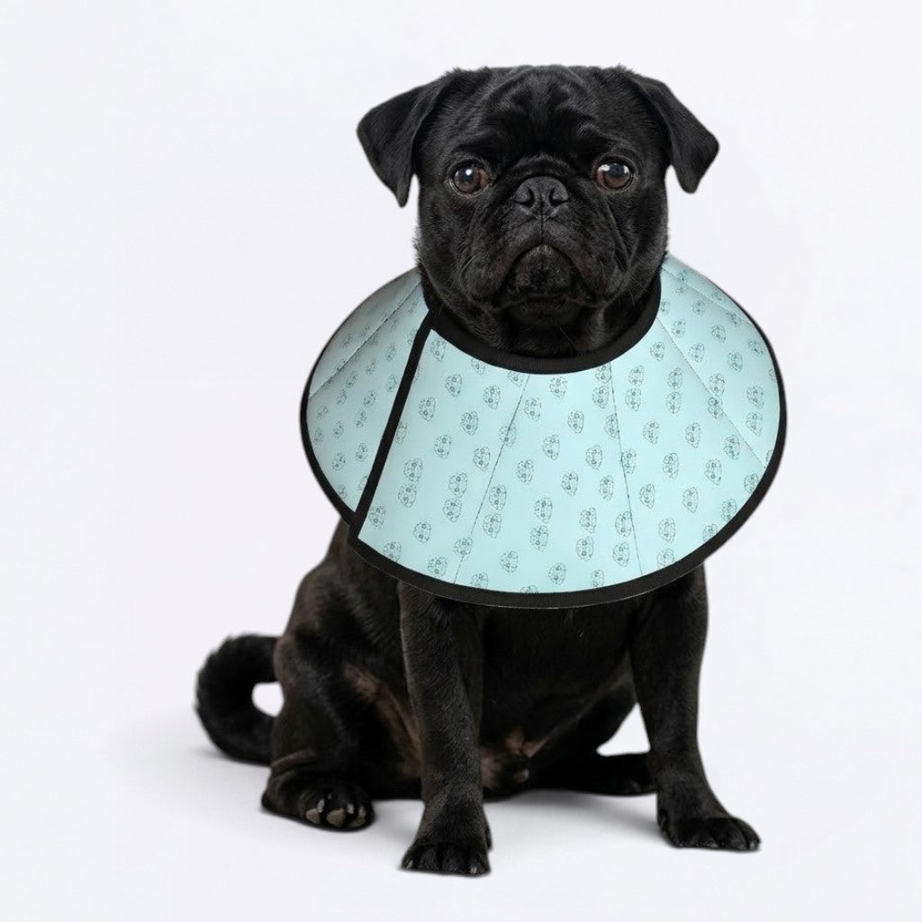 Tyson  - Elizabethan Cone Collar Pug Fit