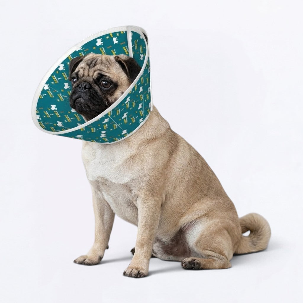 Ivy - Elizabethan Cone Collar Pug Fit