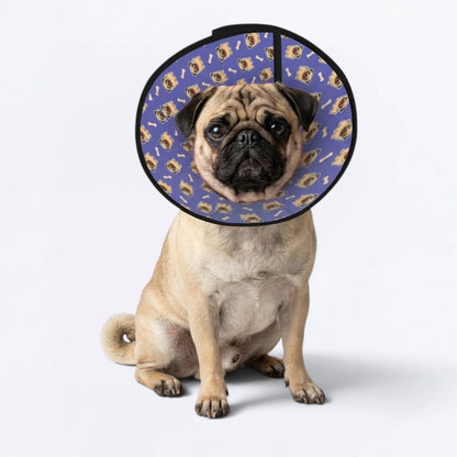 Ace - Elizabethan Cone Collar Pug Fit