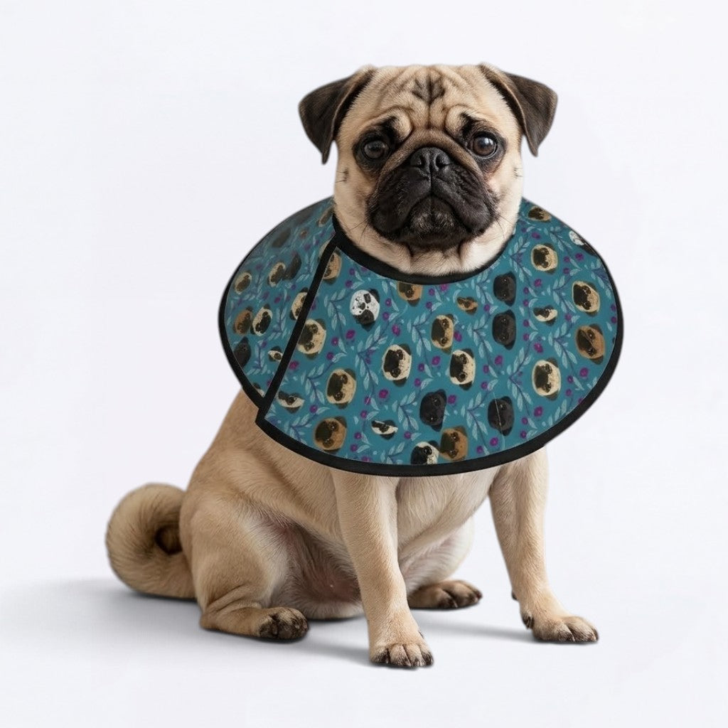 Skye - Elizabethan Cone Collar Pug Fit
