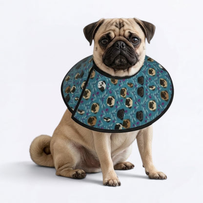 Skye - Elizabethan Cone Collar Pug Fit