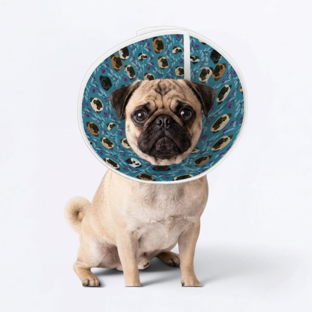 Skye - Elizabethan Cone Collar Pug Fit