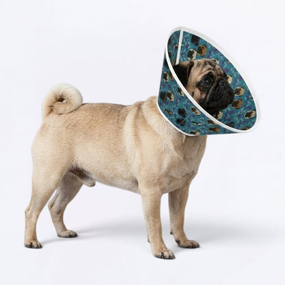 Skye - Elizabethan Cone Collar Pug Fit