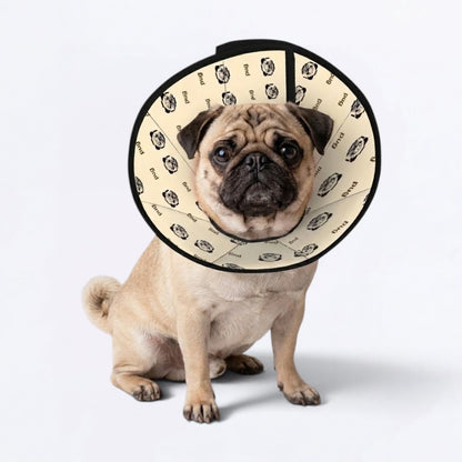 Pearl - Elizabethan Cone Collar Pug Fit