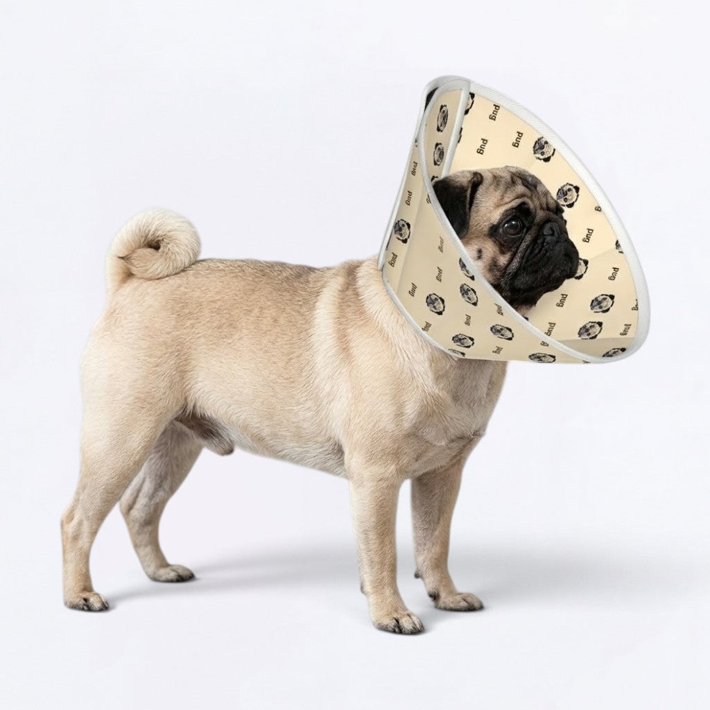 Pearl - Elizabethan Cone Collar Pug Fit