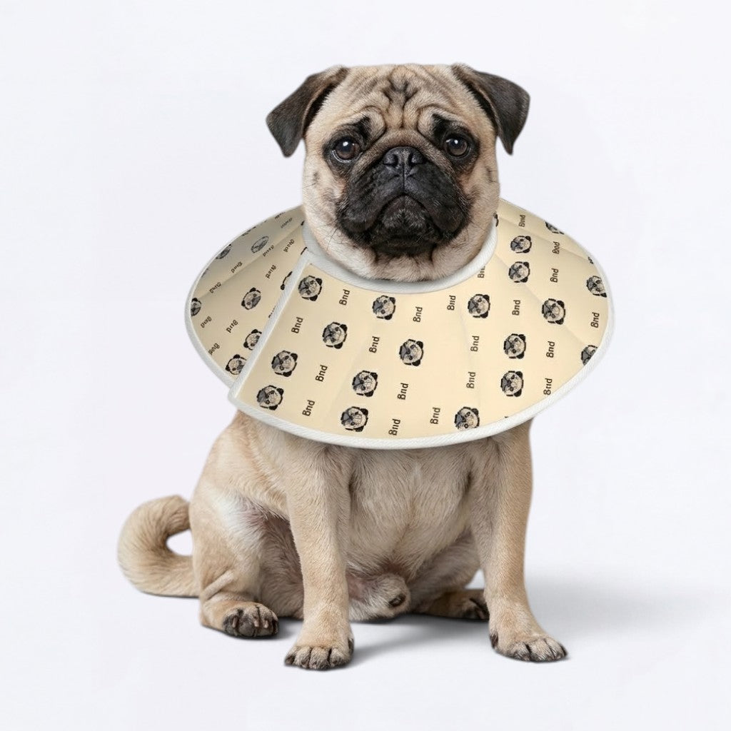 Pearl - Elizabethan Cone Collar Pug Fit