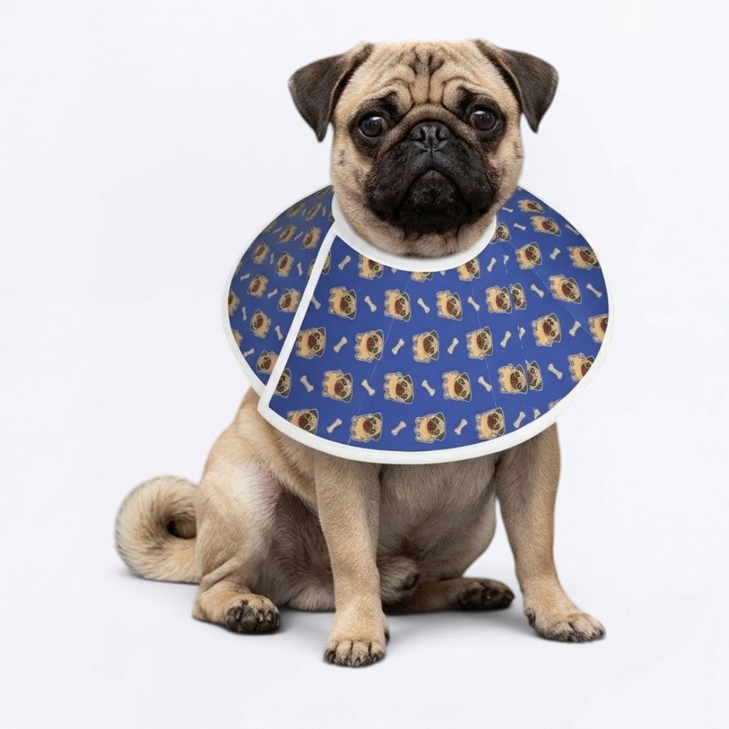 Ace - Elizabethan Cone Collar Pug Fit