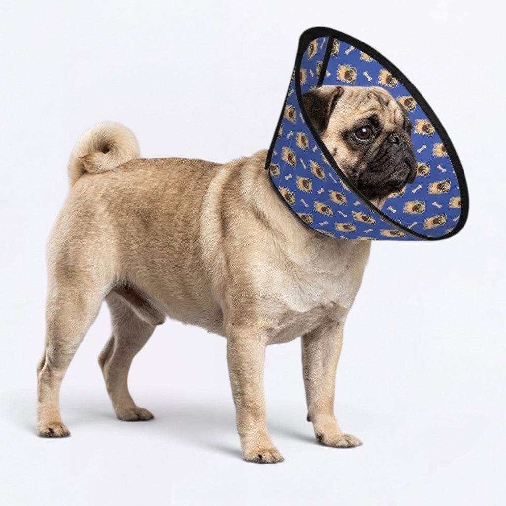 Ace - Elizabethan Cone Collar Pug Fit