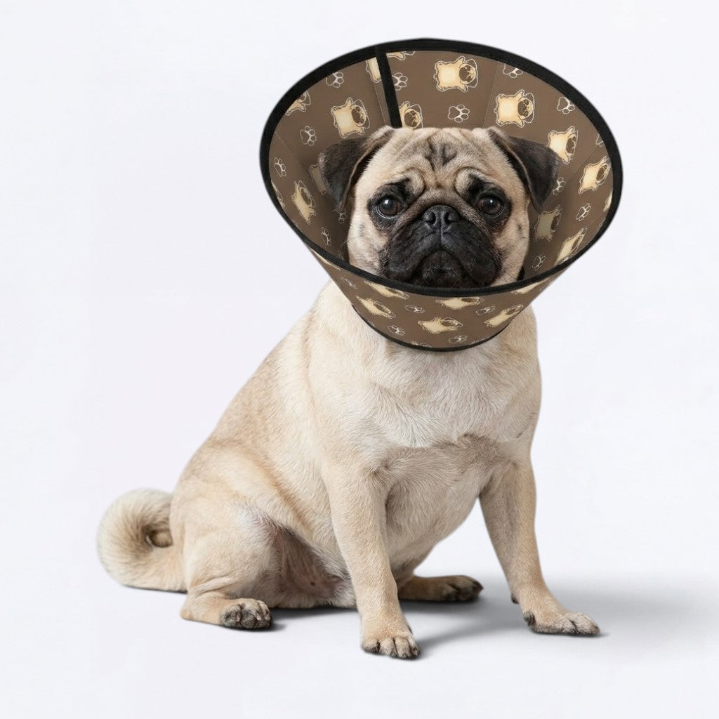 Zoey - Elizabethan Cone Collar Pug Fit