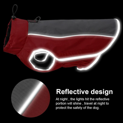 Pug-Reflective-Winter-Jacket.jpg