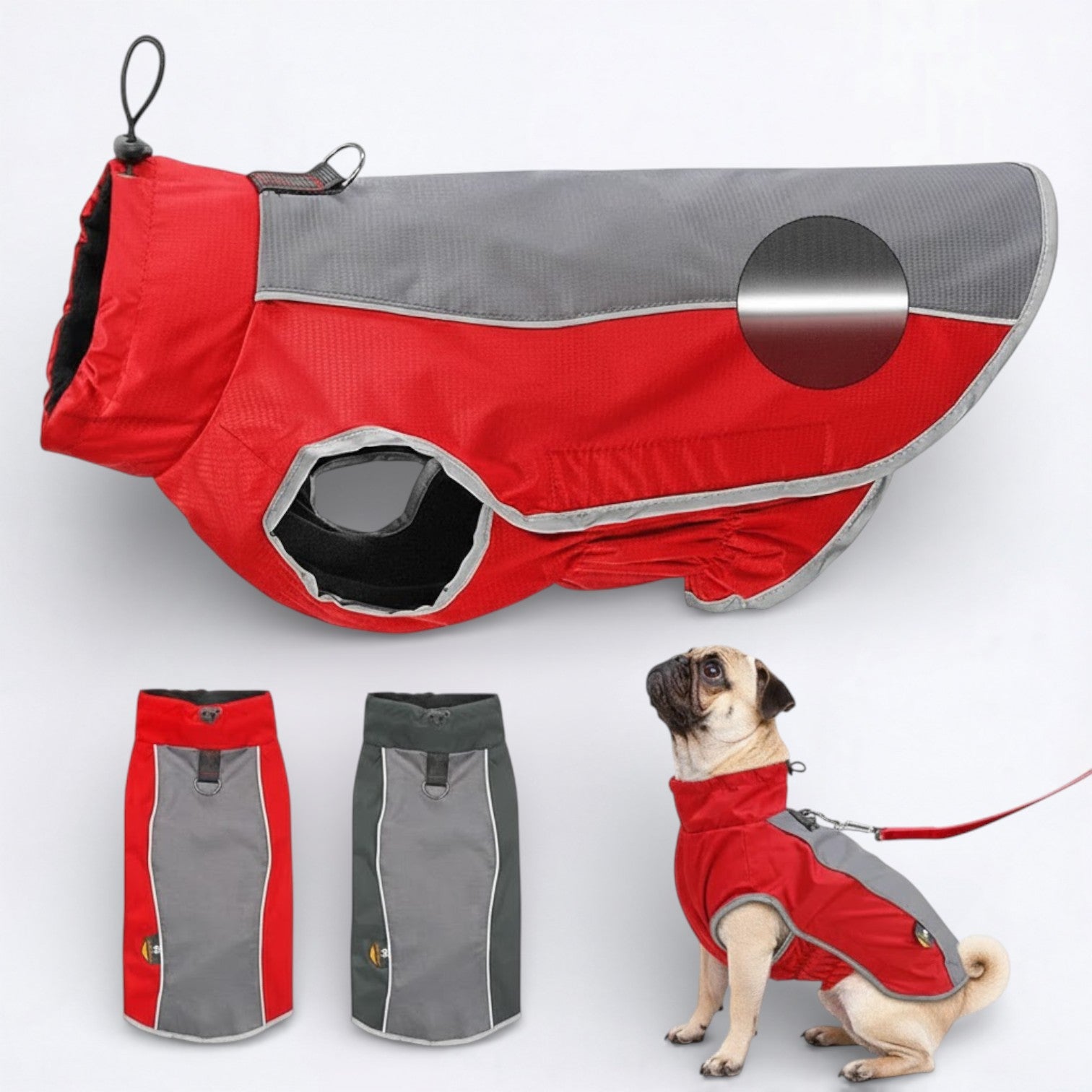Pug-Reflective-Winter-Jacket.jpg