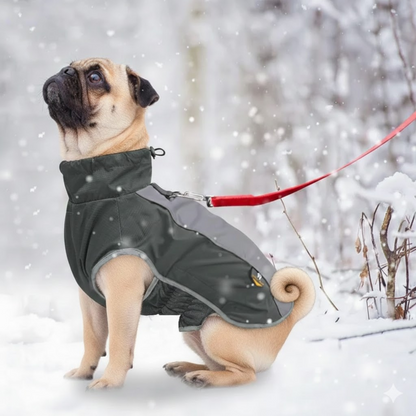 Pug-Reflective-Winter-Jacket.jpg