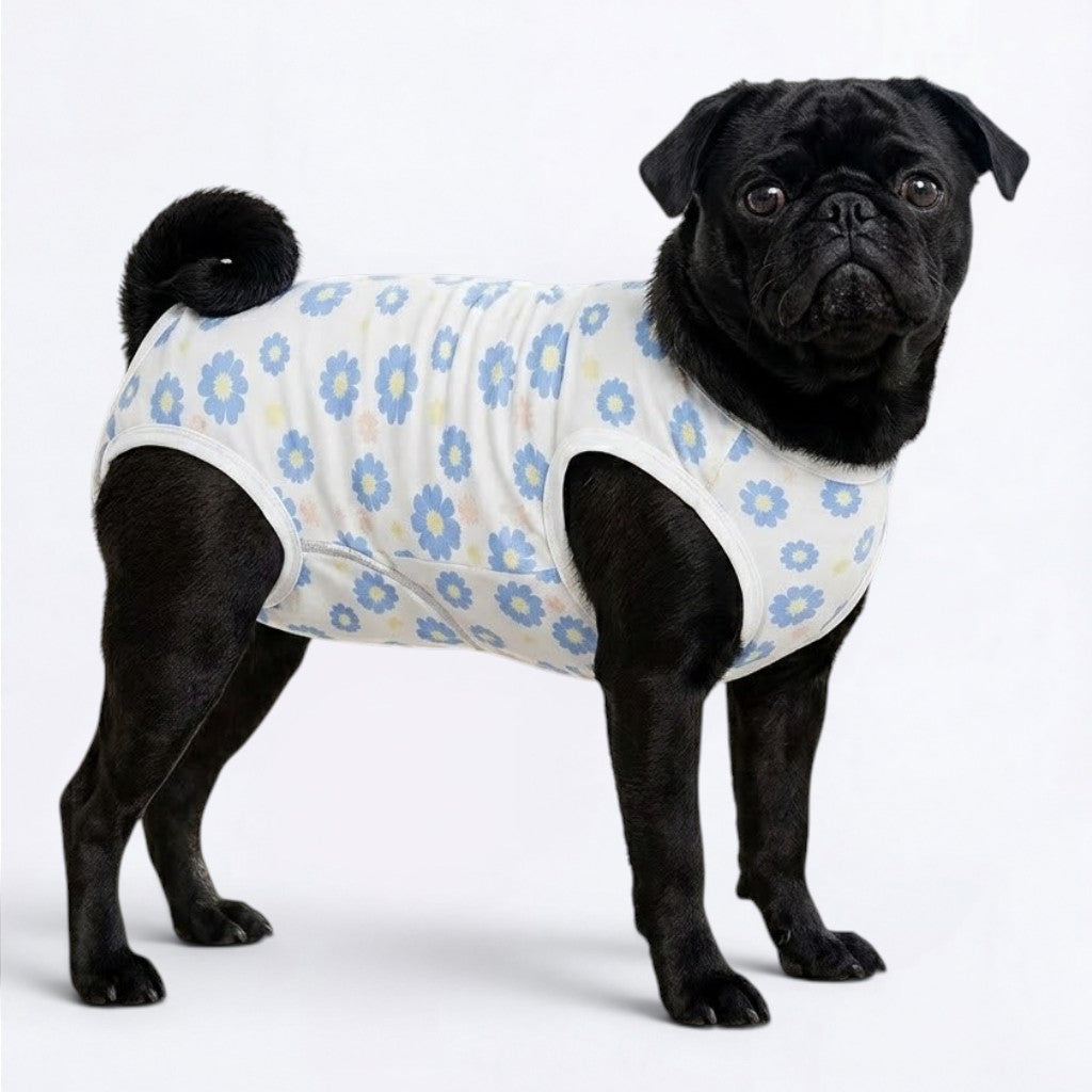 Enzo - Pug Surgery Recovery Suit