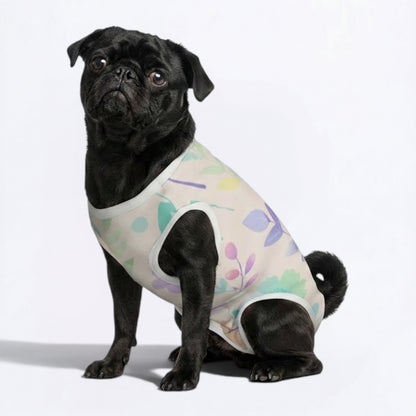 Sable - Pug Surgery Recovery Suit