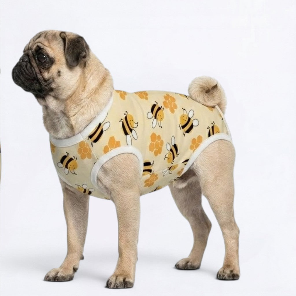Nori - Pug Surgery Recovery Suit