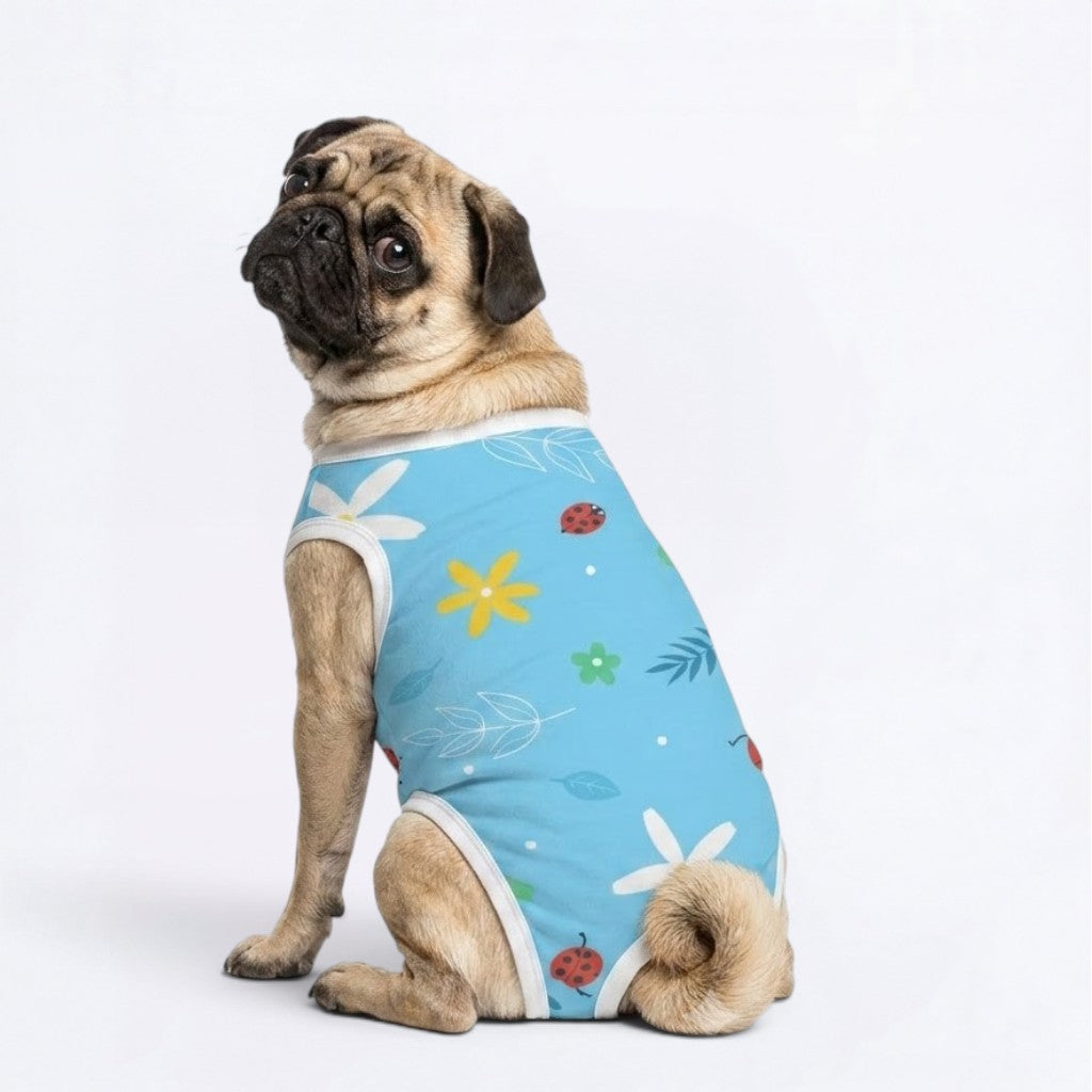 Zina - Pug Surgery Recovery Suit
