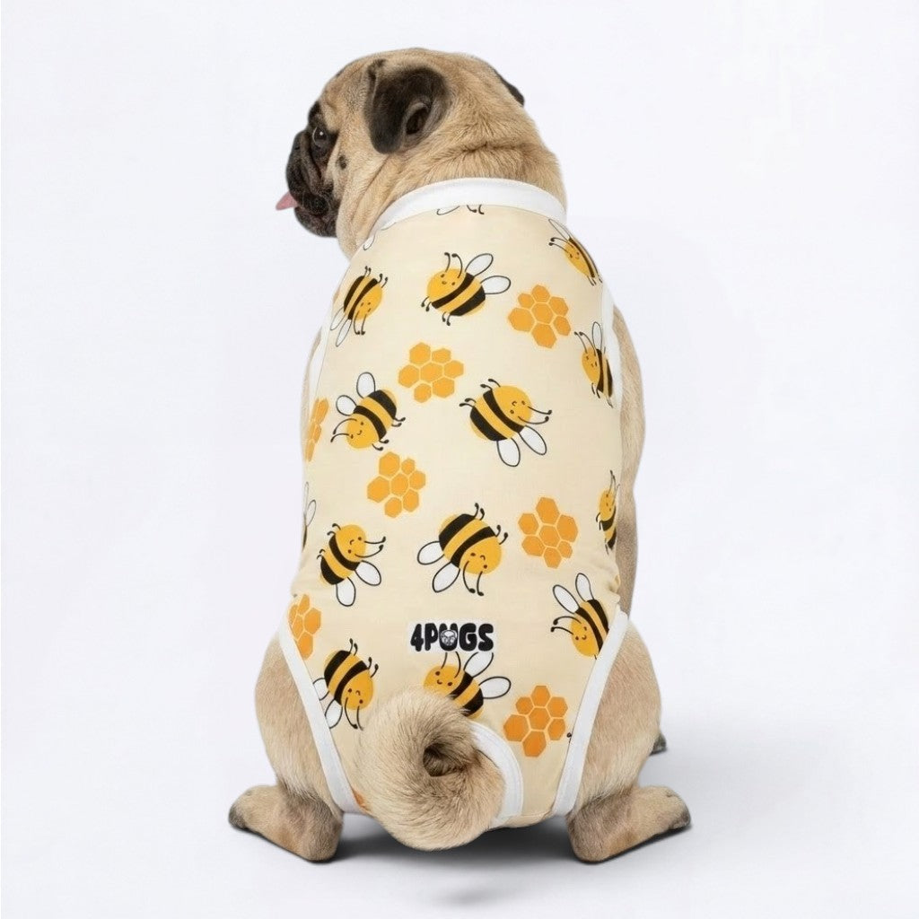 Nori - Pug Surgery Recovery Suit