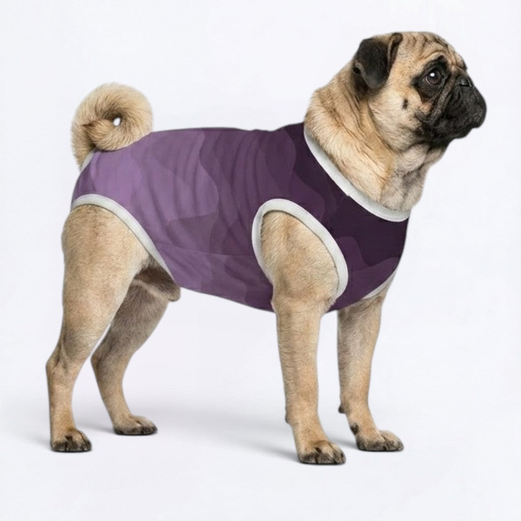 Kobe - Pug Surgery Recovery Suit