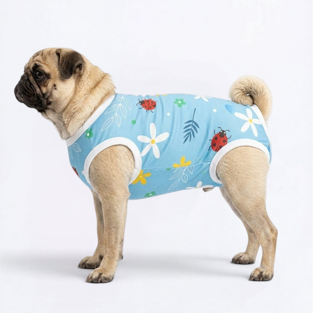 Zina - Pug Surgery Recovery Suit