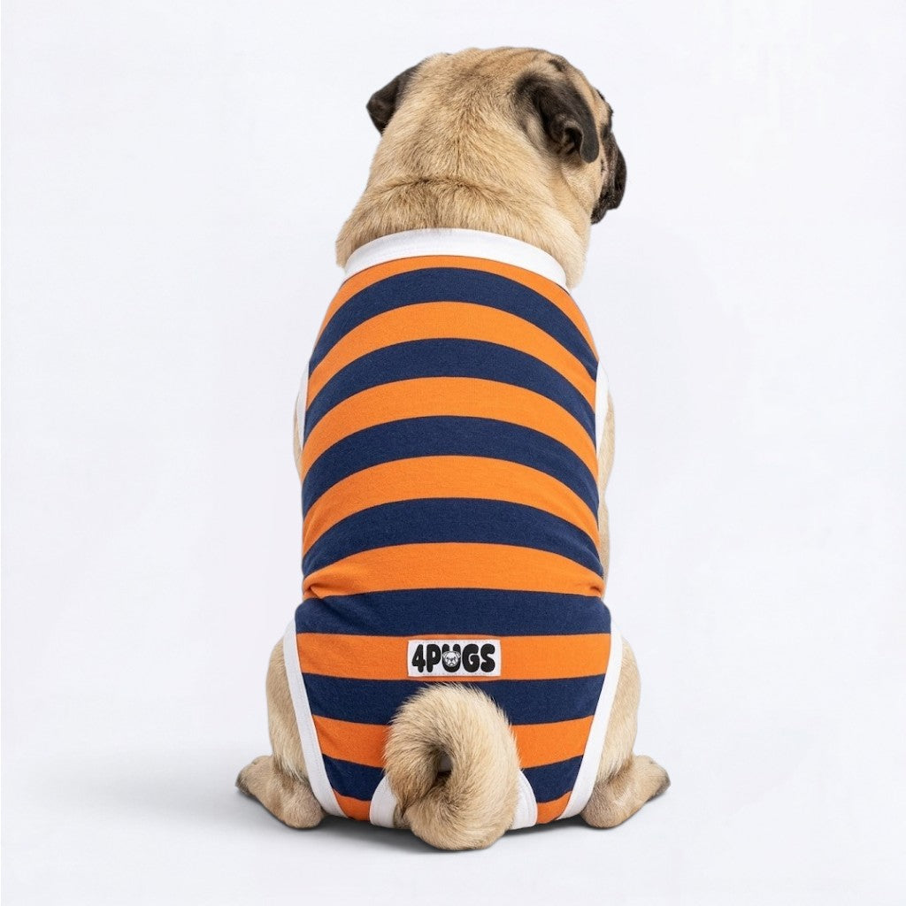 Percy - Pug Surgery Recovery Suit