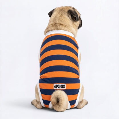 Percy - Pug Surgery Recovery Suit