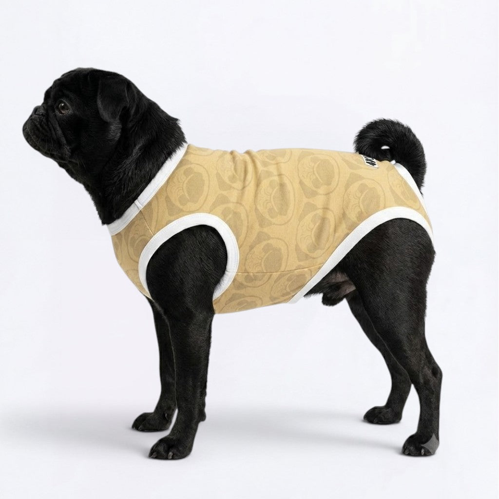 Alfie - Pug Surgery Recovery Suit