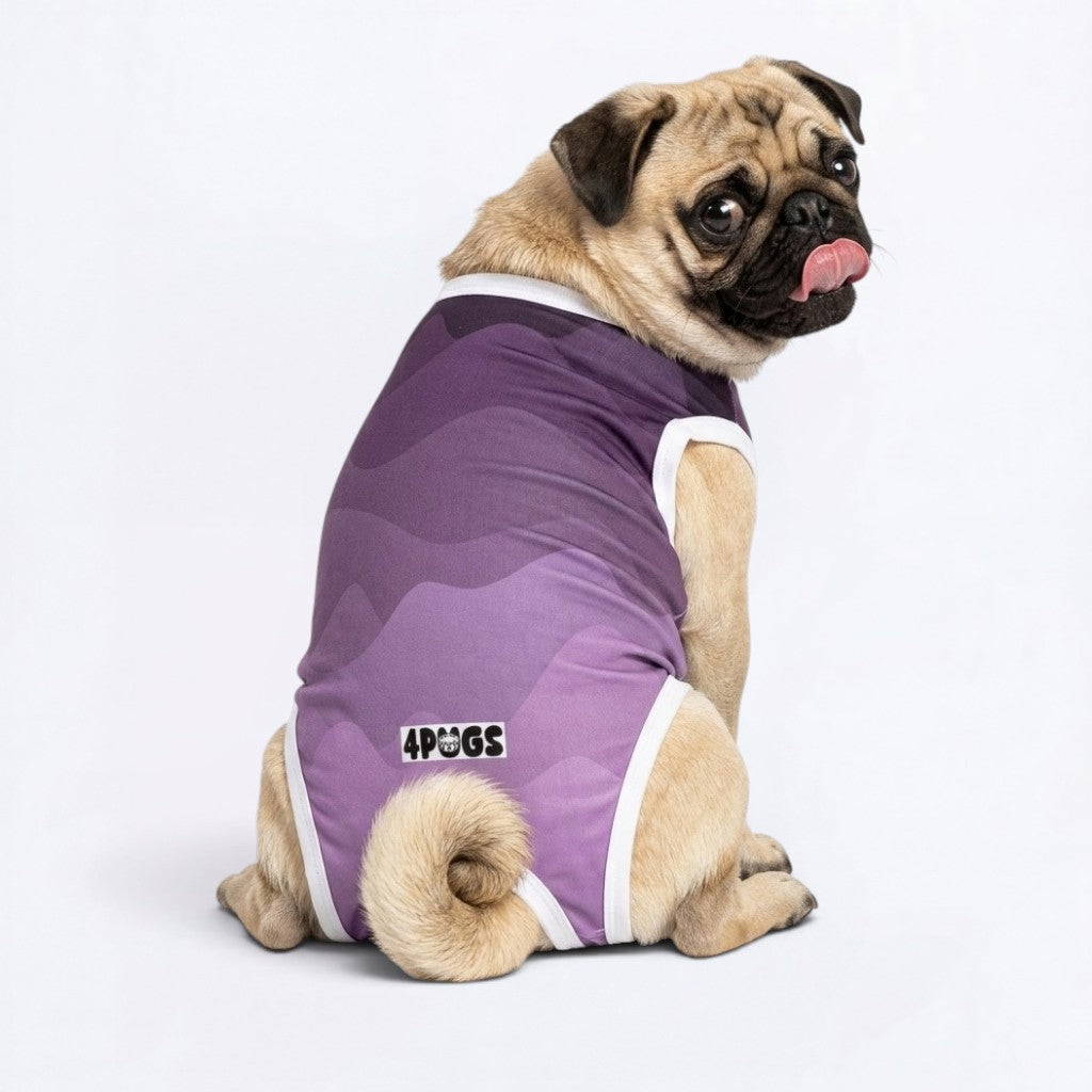 Kobe - Pug Surgery Recovery Suit