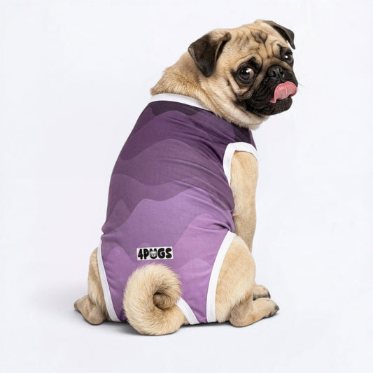 Kobe - Pug Surgery Recovery Suit