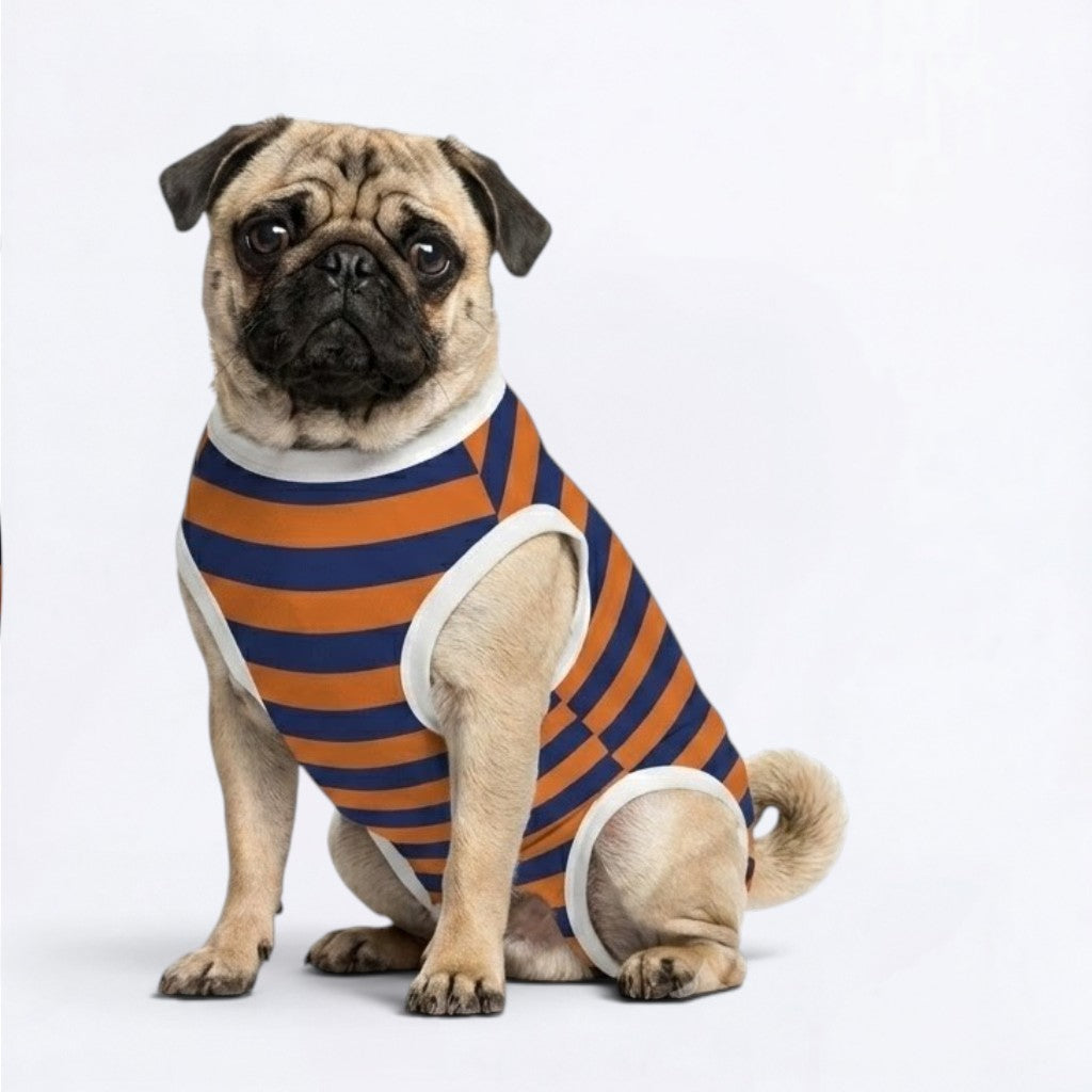 Percy - Pug Surgery Recovery Suit