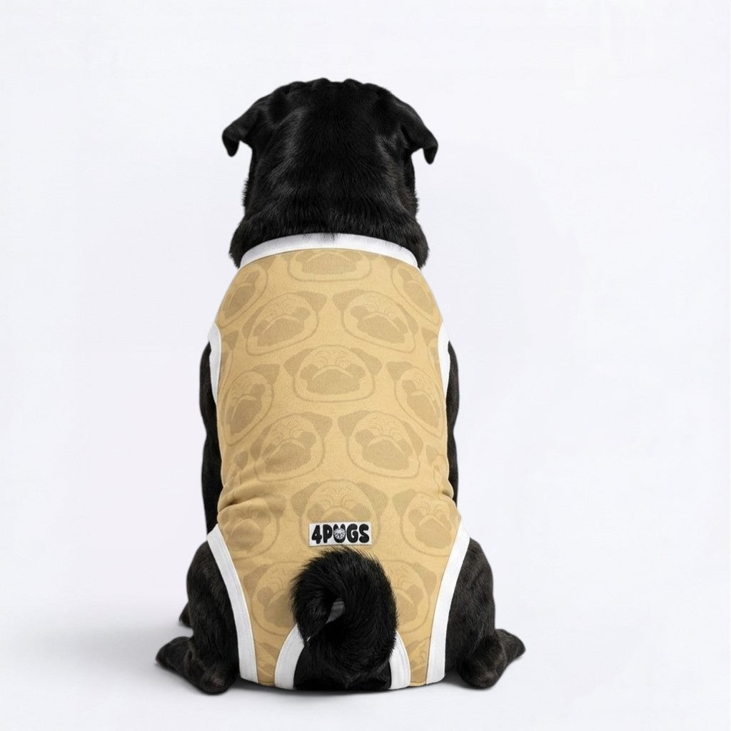 Alfie - Pug Surgery Recovery Suit