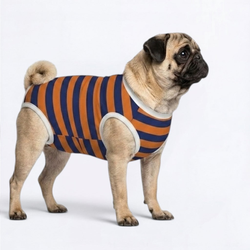 Percy - Pug Surgery Recovery Suit