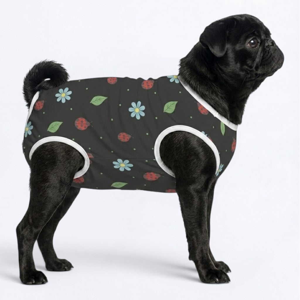 Arlo - Pug Surgery Recovery Suit
