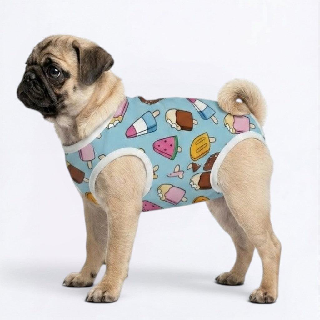 Theo - Pug Surgery Recovery Suit