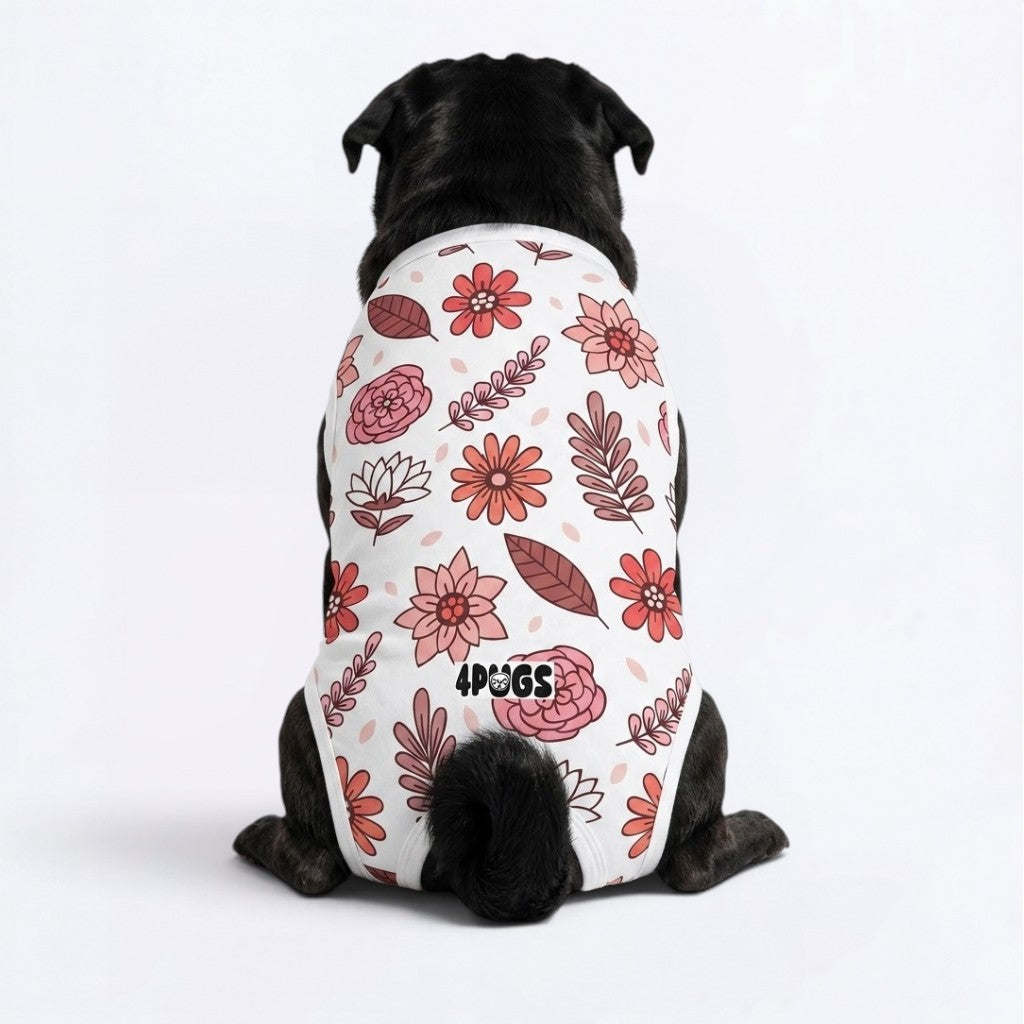 Remy - Pug Surgery Recovery Suit