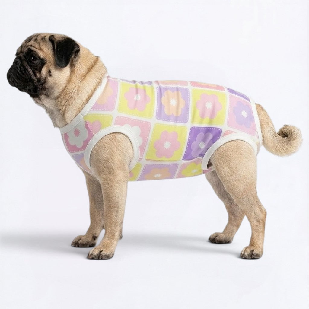 Titan Pug Surgery Recovery Suit