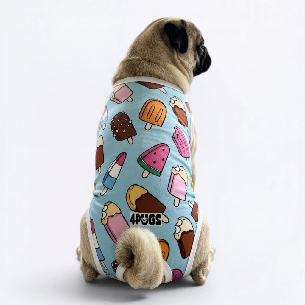 Theo - Pug Surgery Recovery Suit