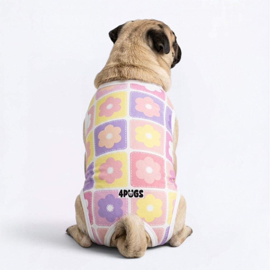 Titan Pug Surgery Recovery Suit